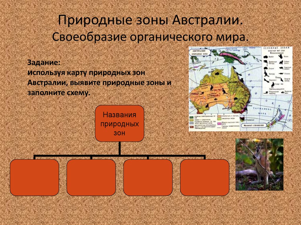 Основные природные зоны австралии