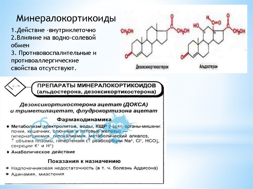 Какой гормон регулирует водный обмен. Альдостерон механизм действия. Минералокортикоиды гормоны. Эффекты альдостерона. Минералокортикоиды действие.