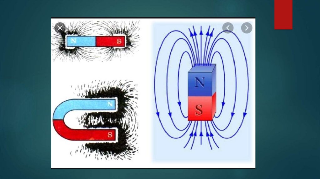 2 линии магнитного поля. Магнитное поле постоянного дугообразного магнита. У полюсов магнита магнитное поле. Магнитные полюса магнита. Постоянный магнит полюс взаимодействие полюсов.