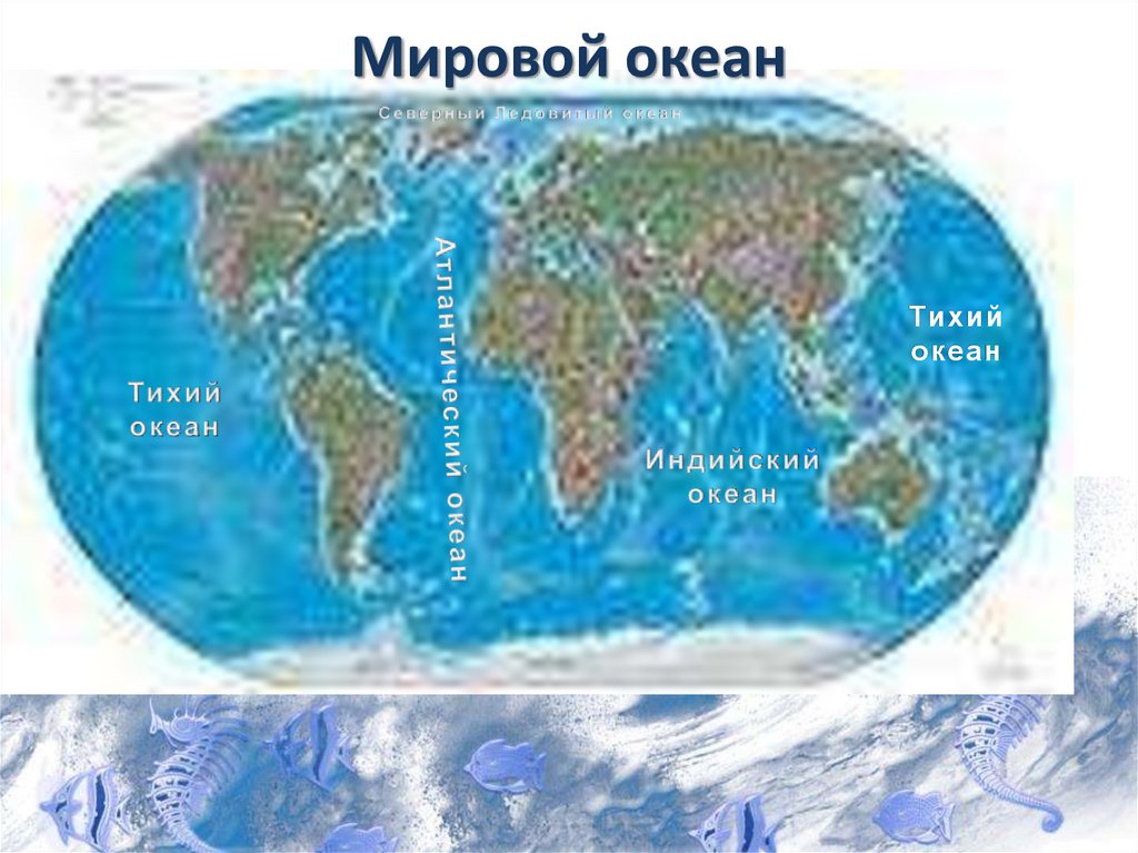 Мировой океан