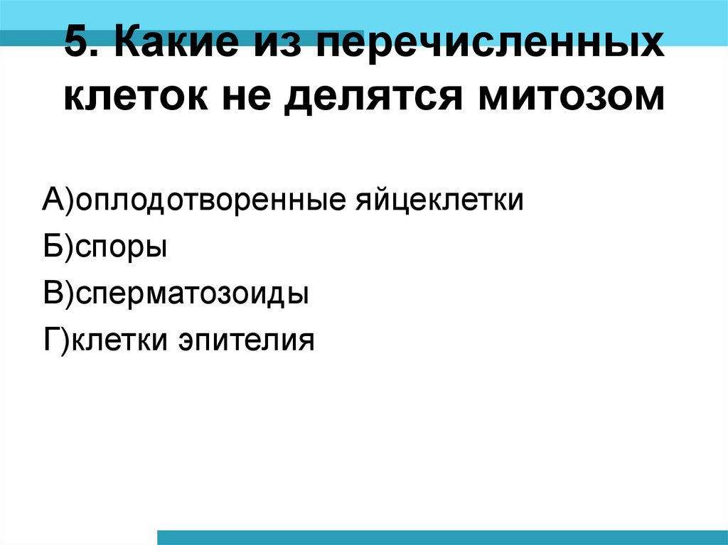 Из перечисленных клеток