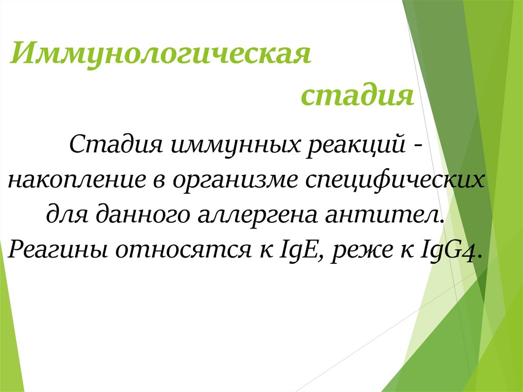 Иммунологическая стадия