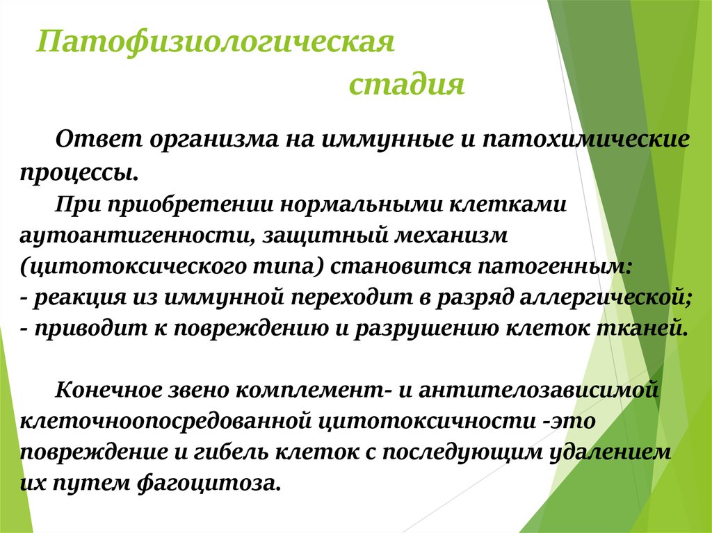 Патофизиологическая стадия