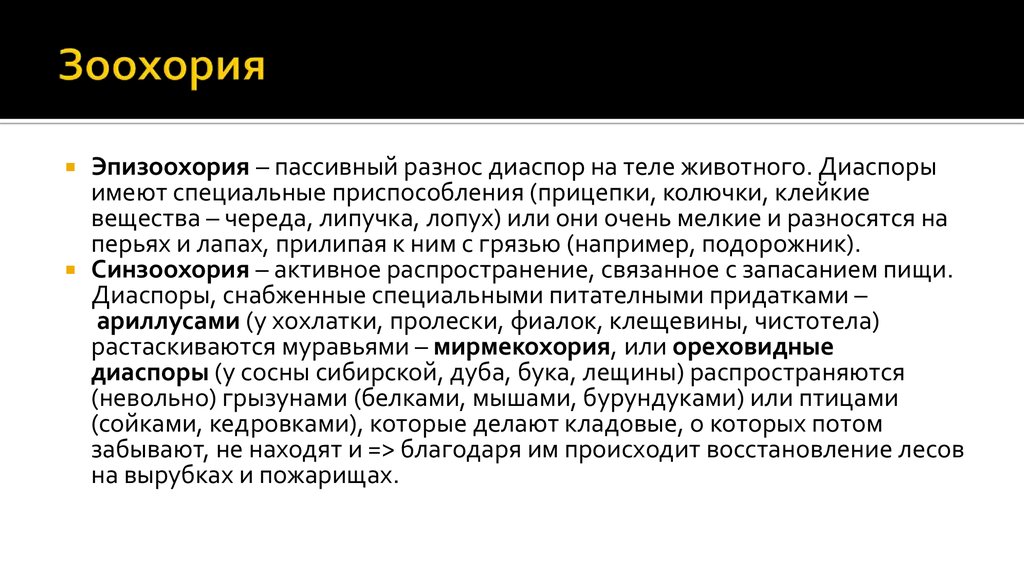 Диаспор значение. ЭПИЗООХОРИЯ. Типы зоохории. Распространение семян зоохория. ЭПИЗООХОРИЯ примеры.