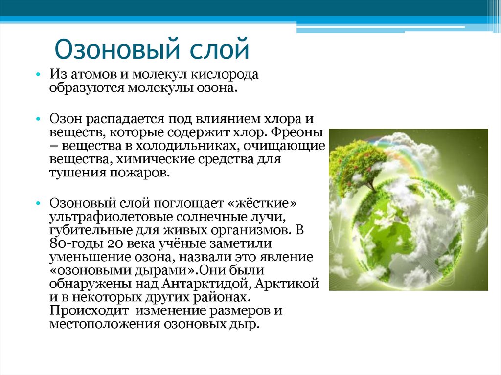 Кислород в живых организмах. Как образуется озоновый слой. Значение озонового слоя атмосферы. Фотосинтез и озоновый слой. Фреоны и озоновый слой.