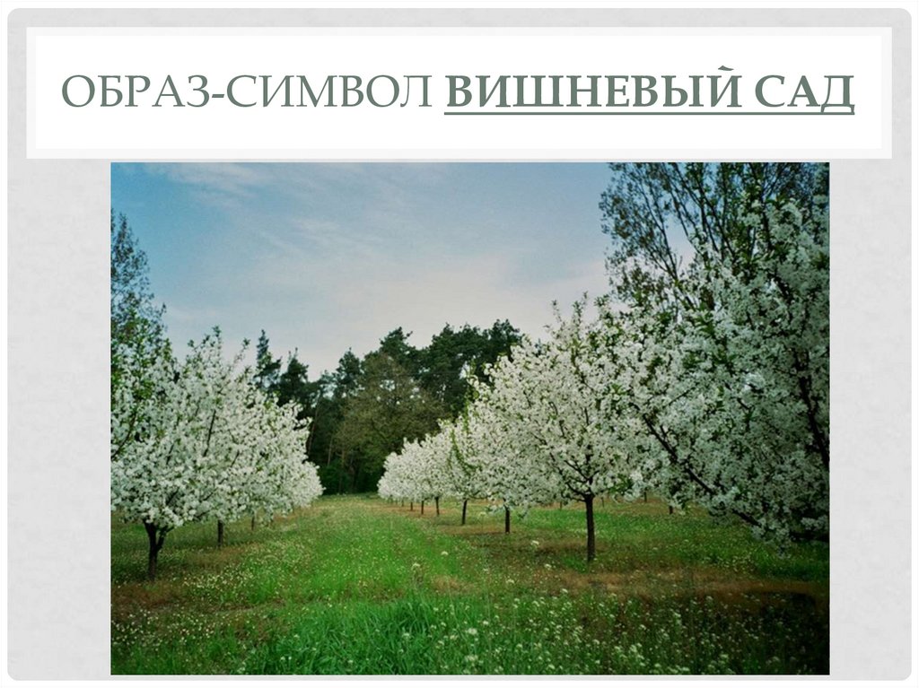 Какой смысл вишневого сада. Чехов вишнёвый сад образ сада. Символы в Вишневом саде. Символ вишневый сад Чехов.
