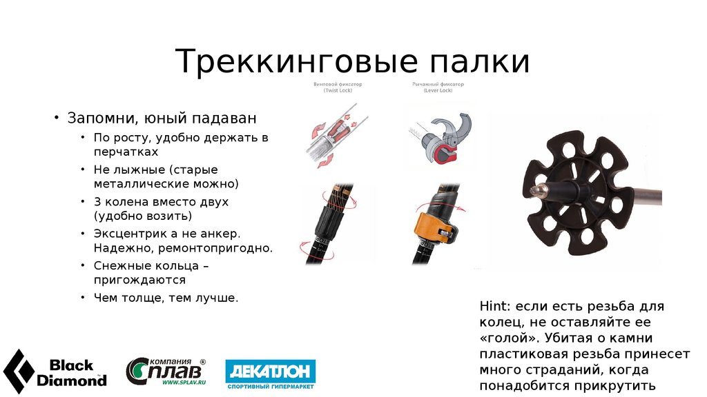 Треккинговые палки