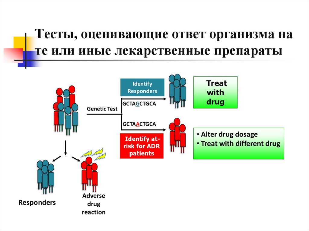 Ответ организма