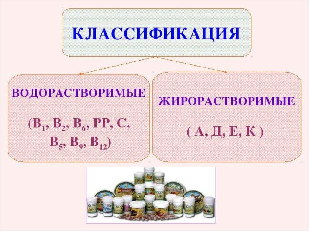 Классификация витаминов картинка