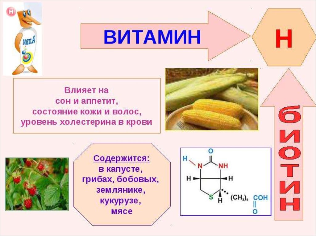 Витамин f презентация