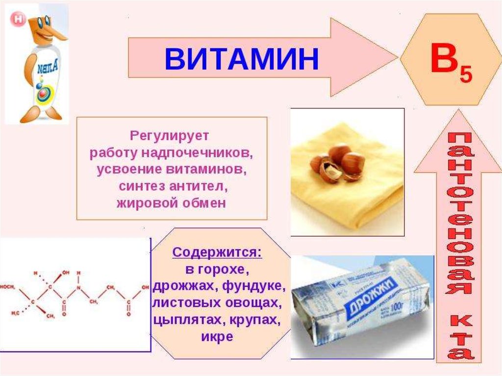 Проект витамин b