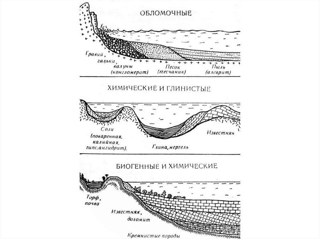 Схема осадочные горные породы