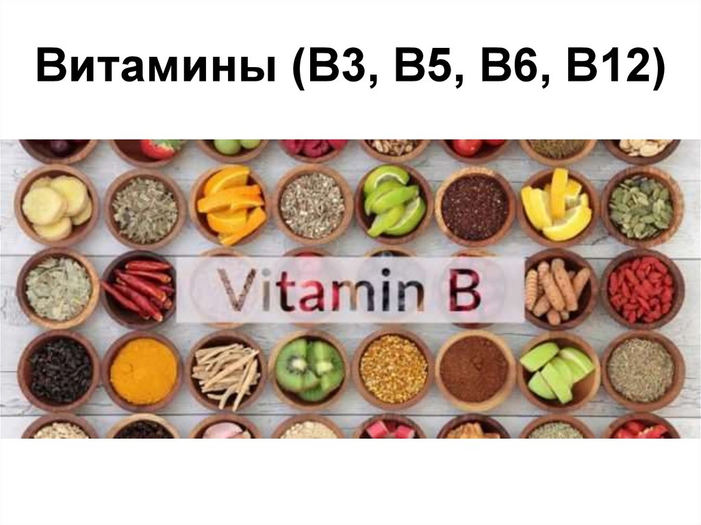 Витамины (В3, В5, В6, В12)