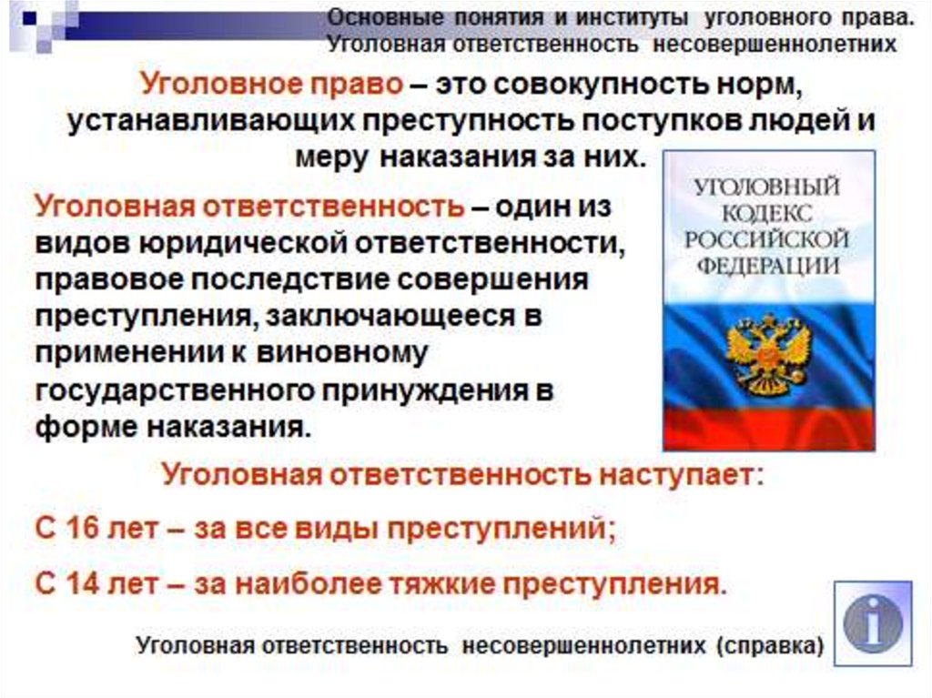 Понятия 9. Институты уголовного права Обществознание 9 класс. Уголовная ответственность понятие Обществознание. Основные понятия и институты уголовного права. Уголовная ответственность это в обществознании.