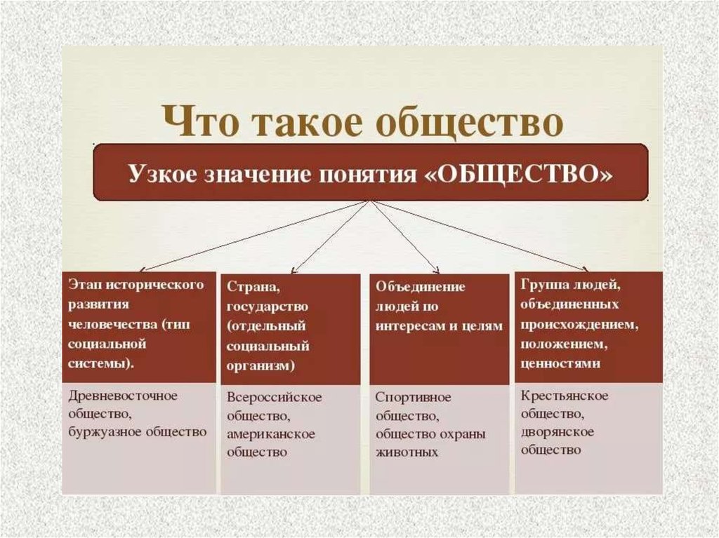 Презентация предмета обществознание