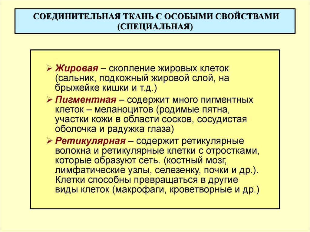 Специальные характеристики. Соединительная ткань с особыми свойствами. Ткани с особыми свойствами. Соединительная ткань со специальными свойствами. Разновидности соединительной ткани с особыми свойствами.