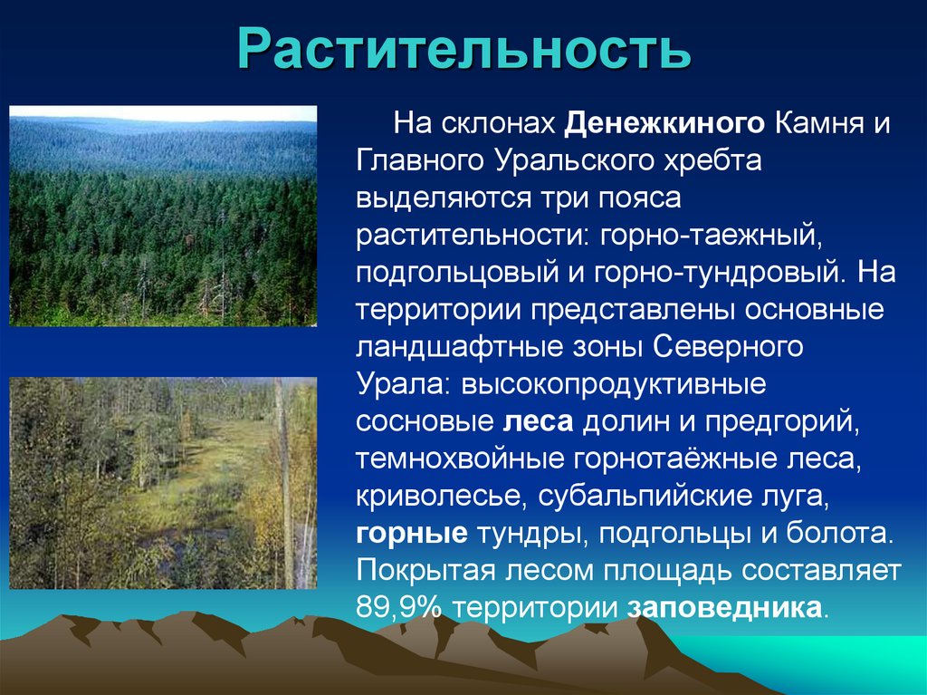 Природная зона заповедник. Растения Денежкин камень. Государственный природный заповедник 