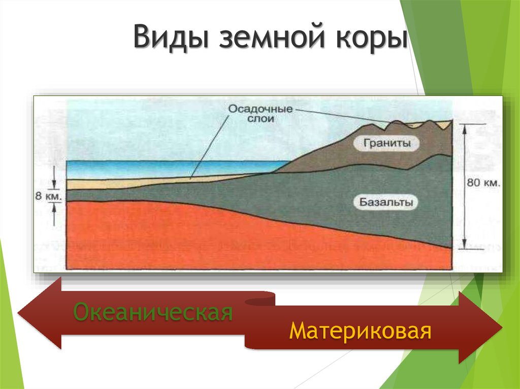 На рисунке изображен тип земной коры