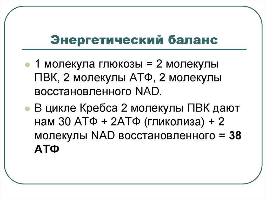 Определите количество молекул атф. Энергетический баланс. Положительный энергетический баланс. Отрицательный энергетический баланс. Энергетический баланс цикла Кребса.