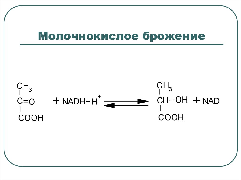 Молочнокислое гомоферментативное брожение схема