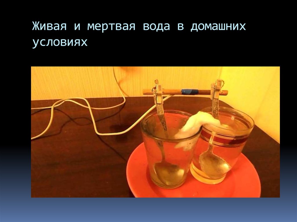 Опыт живая вода. Живая и мертвая вода. Живая и мертвая вода в домашних условиях. Живая вода и мертвая вода. Живая вода в домашних.