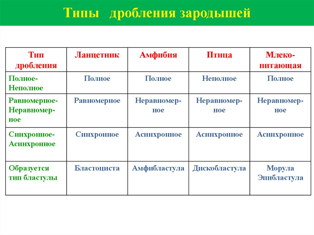 Сравнение основ