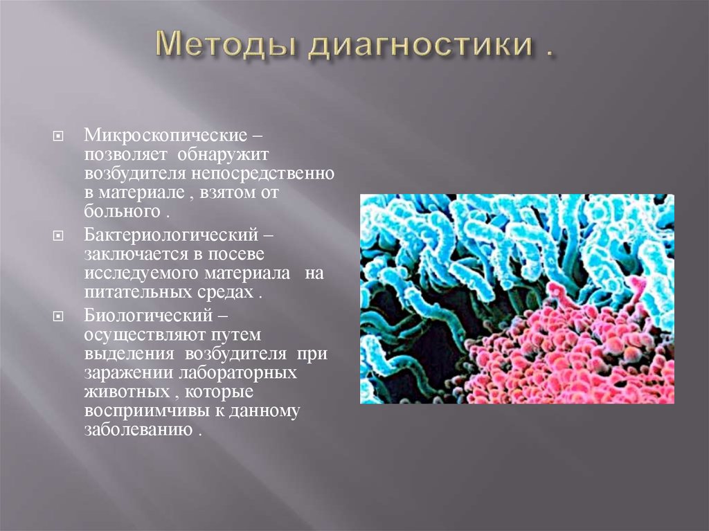 Возбудитель выделяет. Микроскопический и бактериологические методы диагностики. Возбудитель ковид выявлен впервые. Возбудитель ковид не обнаружено. Среда биологическая при КС И при ер.