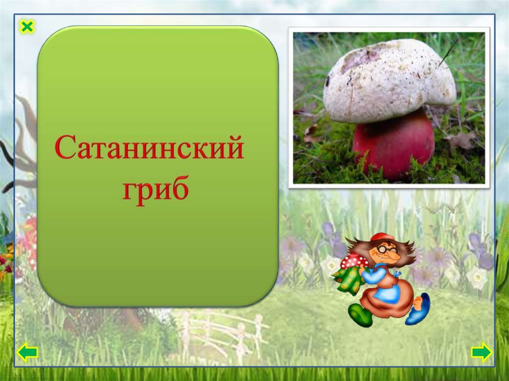 Про грибы 3 класс. Грибы презентация. Несъедобные грибы 3 класс. Грибы презентация 3 класс. Не съедобные грибы 3 класс.