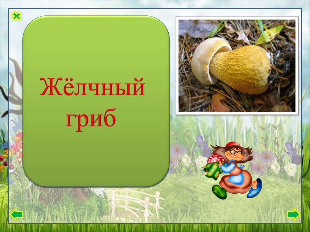 Грибы 3 класс. Несъедобные грибы 3 класс. Грибы презентация 3 класс. Несьрдобные грибы3 класс. Презентация несъедобные грибы 3 класс.