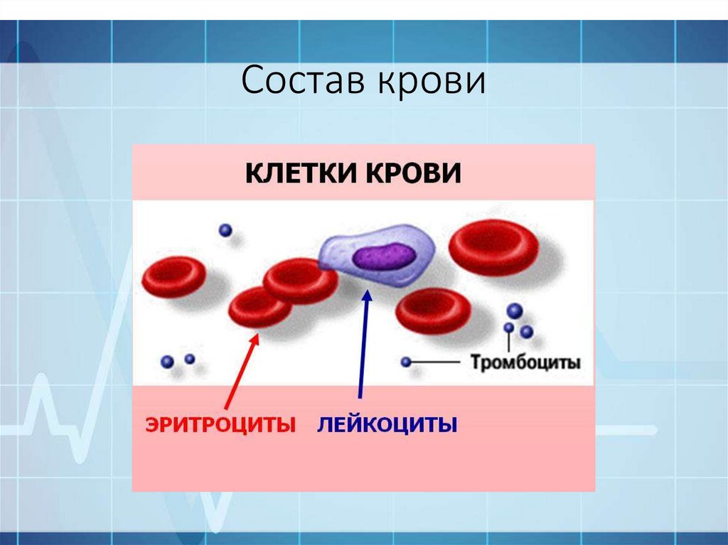 В состав крови входят. Кровеносная система состав крови. Состав кровяной системы. Состав крови 4 класс. Кровь 3 класс окружающий мир.