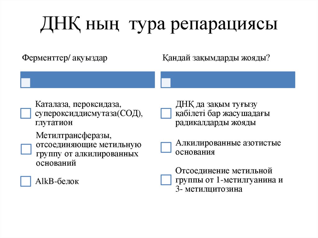 ДНҚ ның тура репарациясы