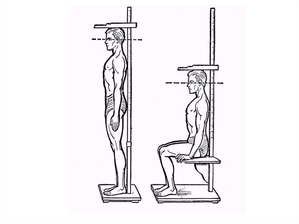 Антропометрия. Измерение роста антропометром. Антропометрия (измерение роста, массы тела, окружности головы).. Антропометрия рост. Антропометрия измерение веса.