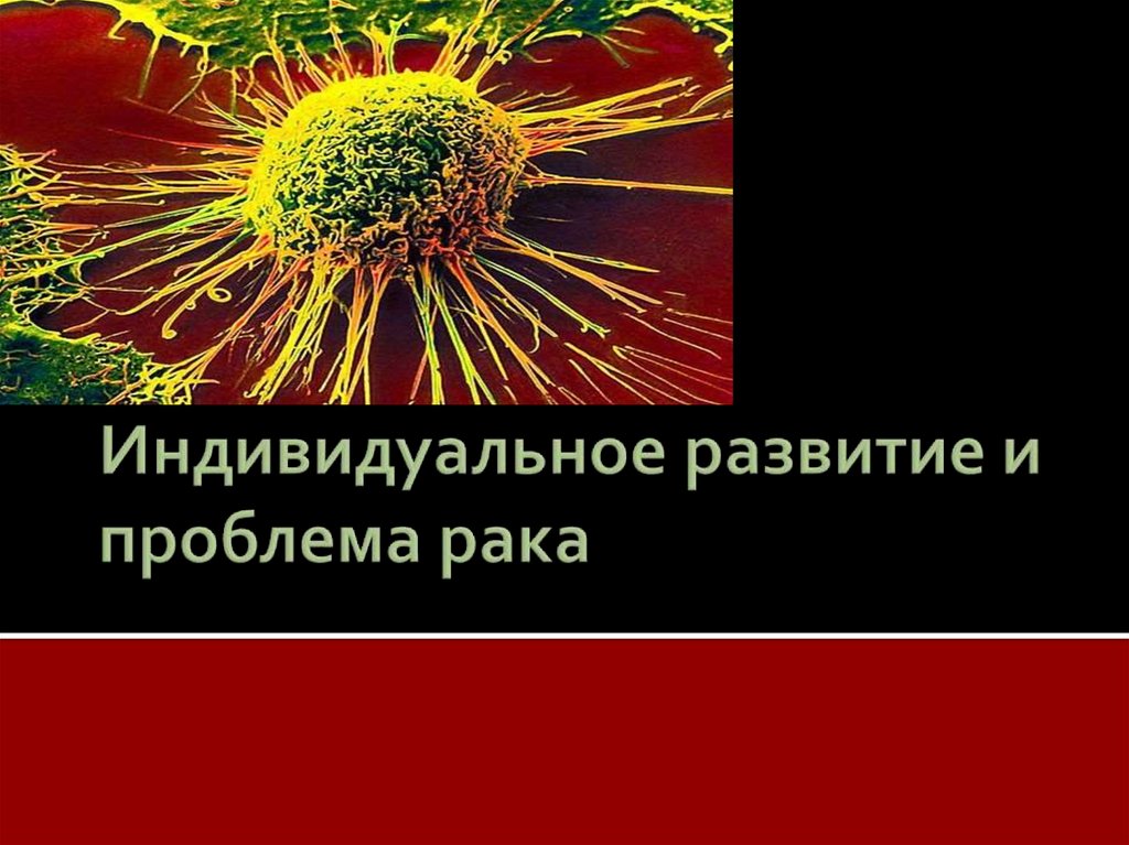 Онкология презентация для студентов