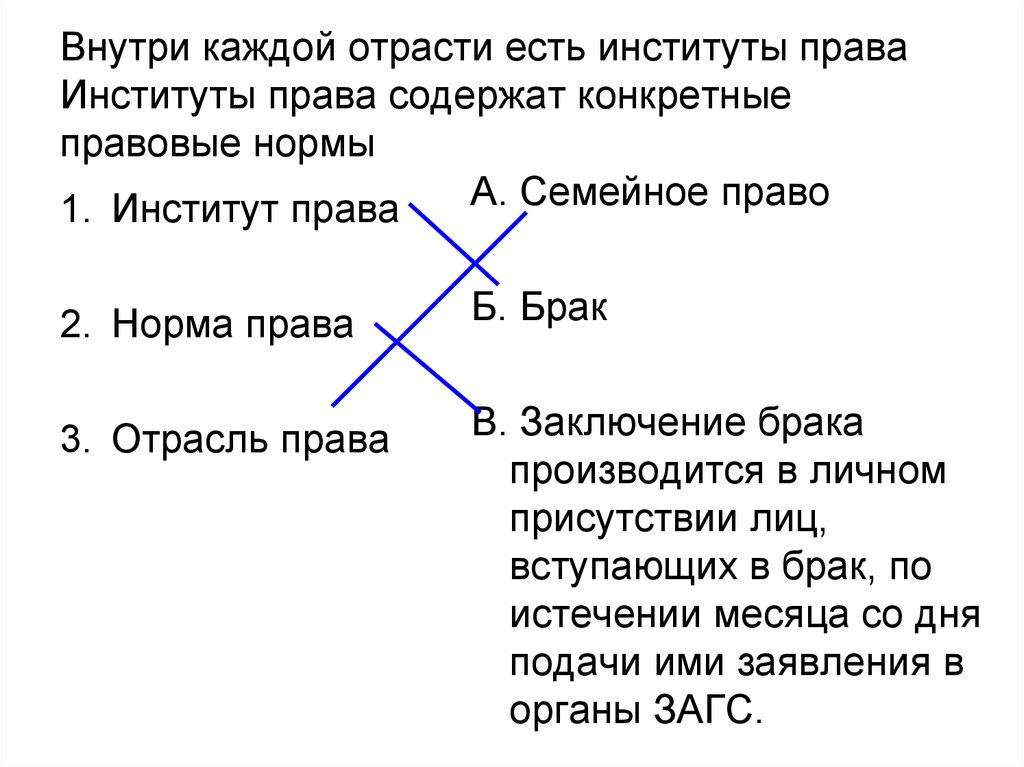 Брак как институт права b рф план егэ