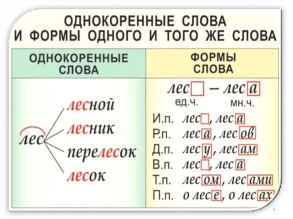 Форма слова пар. Однокоренные и формы слова. Формы одного и того же слова. Формы слова и однокоренные слова. Однокоренные слова и формы одного и того же слова.