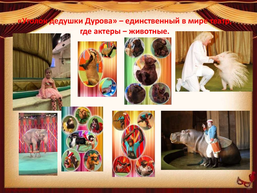 «Уголок дедушки Дурова» ‒ единственный в мире театр, где актеры ‒ животные.