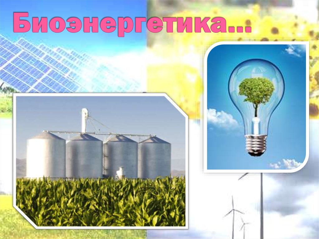 Биоэнергетика…