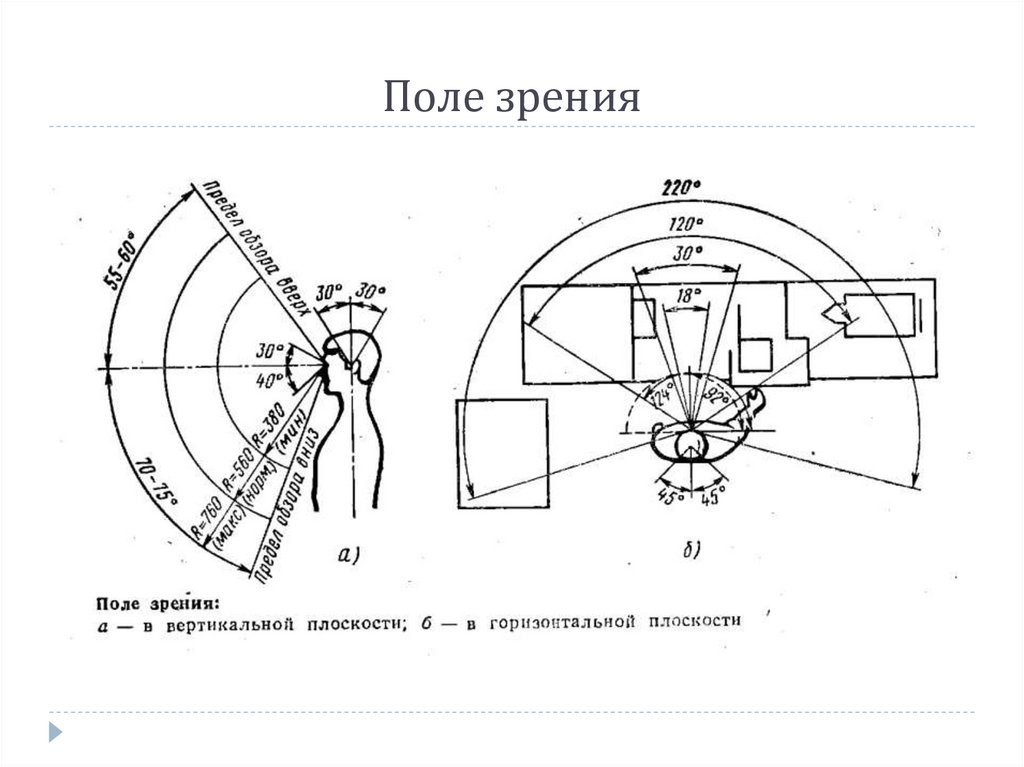 Поле зрения больше для. Поле зрения. Поле зрения человека схема. Поле зрения разметка. Информационные зоны визуального поля обзора человека.