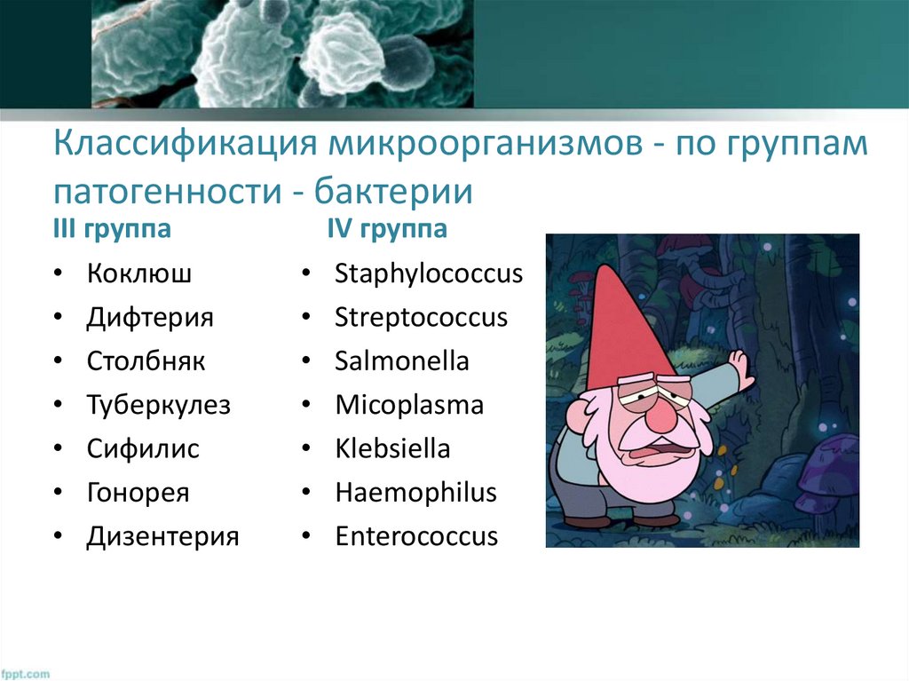 Группы патогенности инфекций