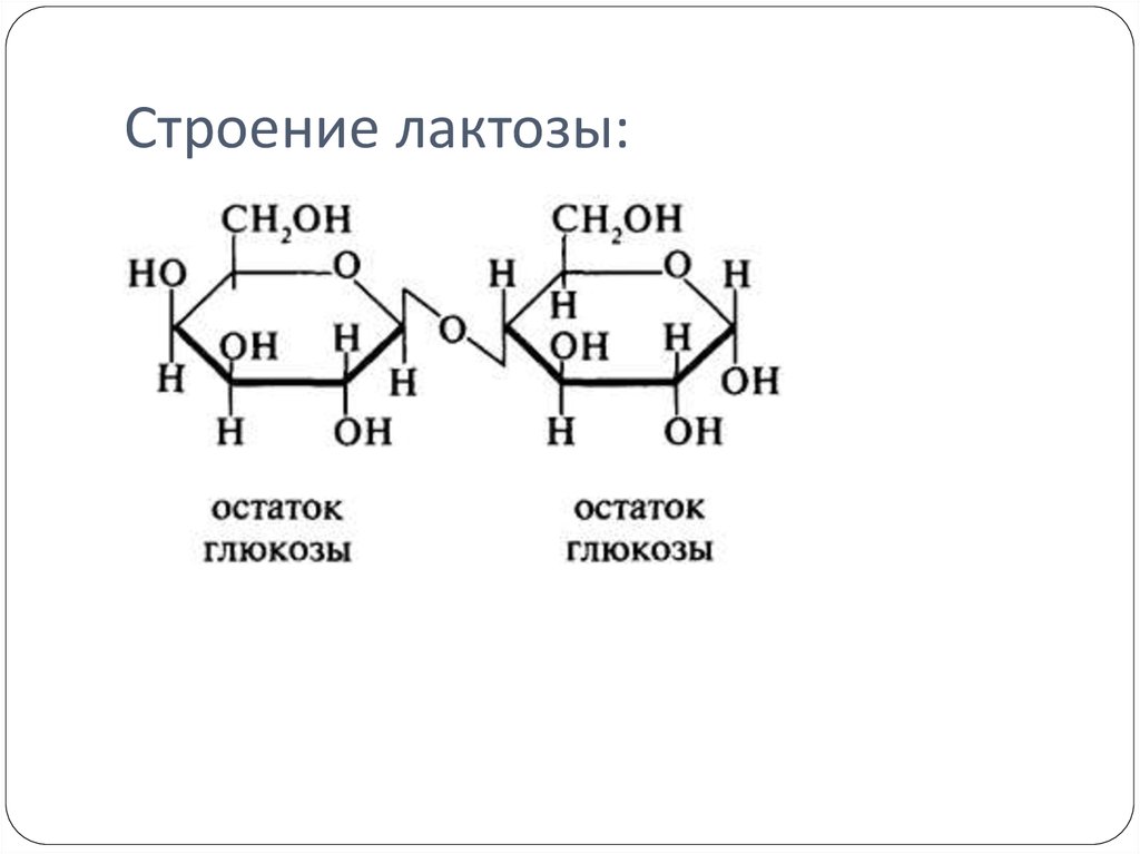 Химические свойства лактозы. Формула структуры лактозы. Строение лактозы формула. Лактоза химическая структура. Химическая формула лактозы.