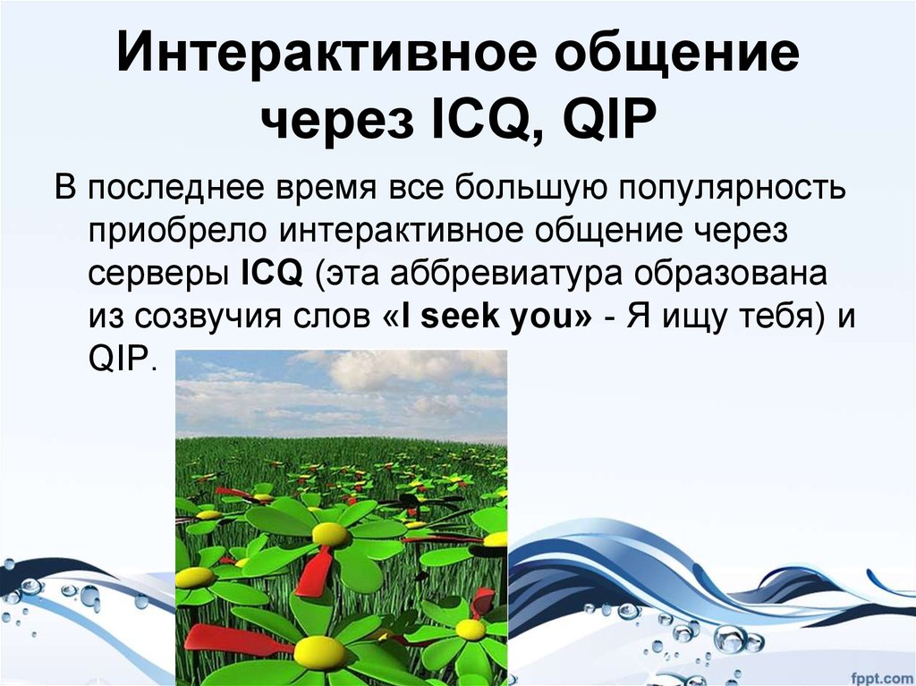 Интерактивное общение. Интерактивное общение через ICQ, qip.