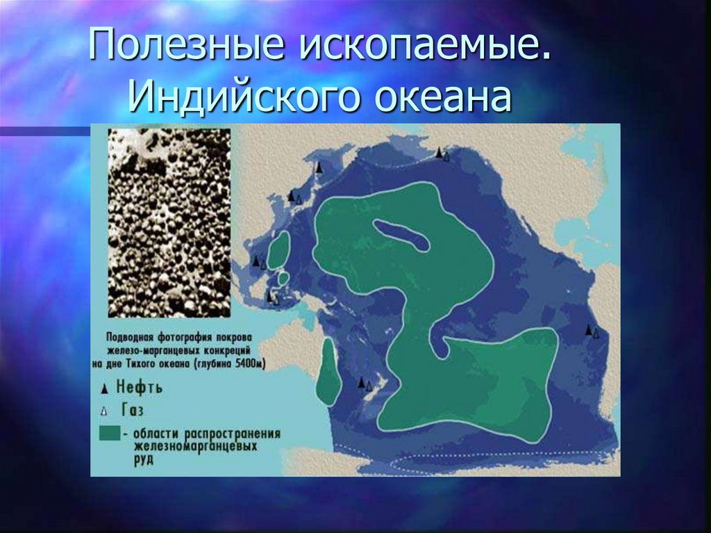 Презентация океан информатики