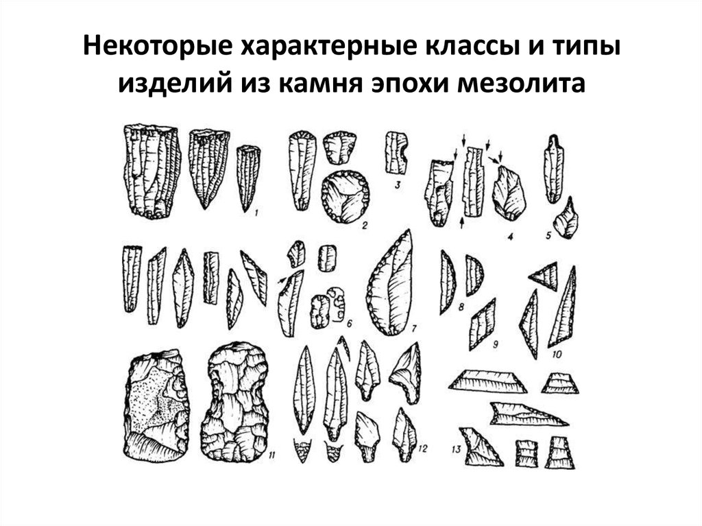 Палеолит мустье. Каменные орудия эпохи неолита. Неолит кремниевые орудия. В эпоху мезолита изменилась техника обработки камня. В эпоху мезолита изменилась техника обработки камня.
