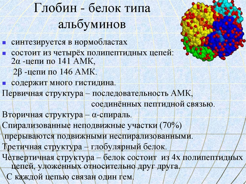 Белок альбумин. Альбумин третичная структура. Белок Глобин. Белок Глобин третичная структура. Альбумин структура белка.