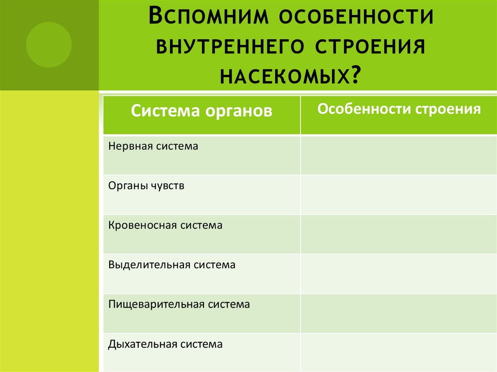 Особенности строения насекомых. Система органов органы функции насекомых. Внутреннее строение насекомых таблица. Внешнее строение насекомых 7 класс биология таблица. Системы органов насекомых таблица 7 класс биология.