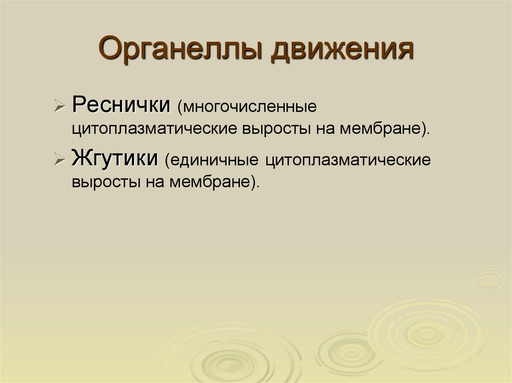 Органеллы движения