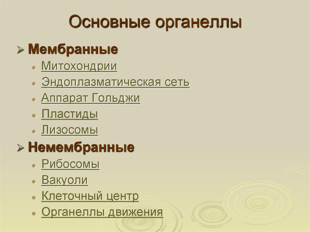 Основные органеллы