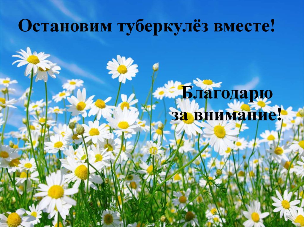 Остановим туберкулёз вместе! Благодарю за внимание!