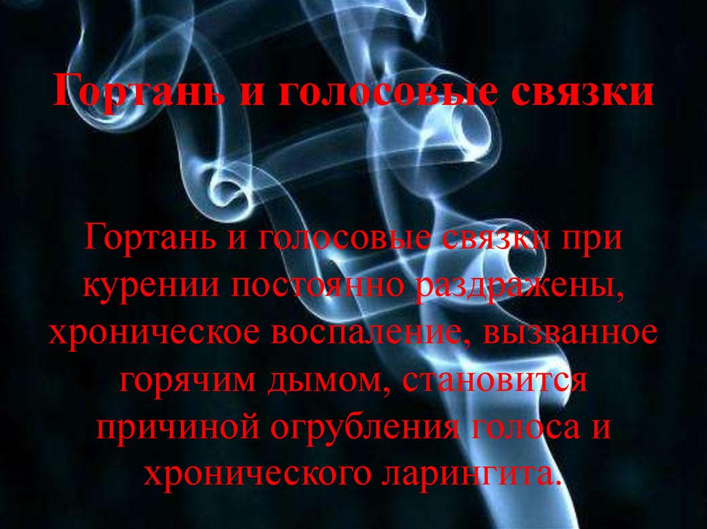Гортань и голосовые связки Гортань и голосовые связки при курении постоянно раздражены, хроническое воспаление, вызванное