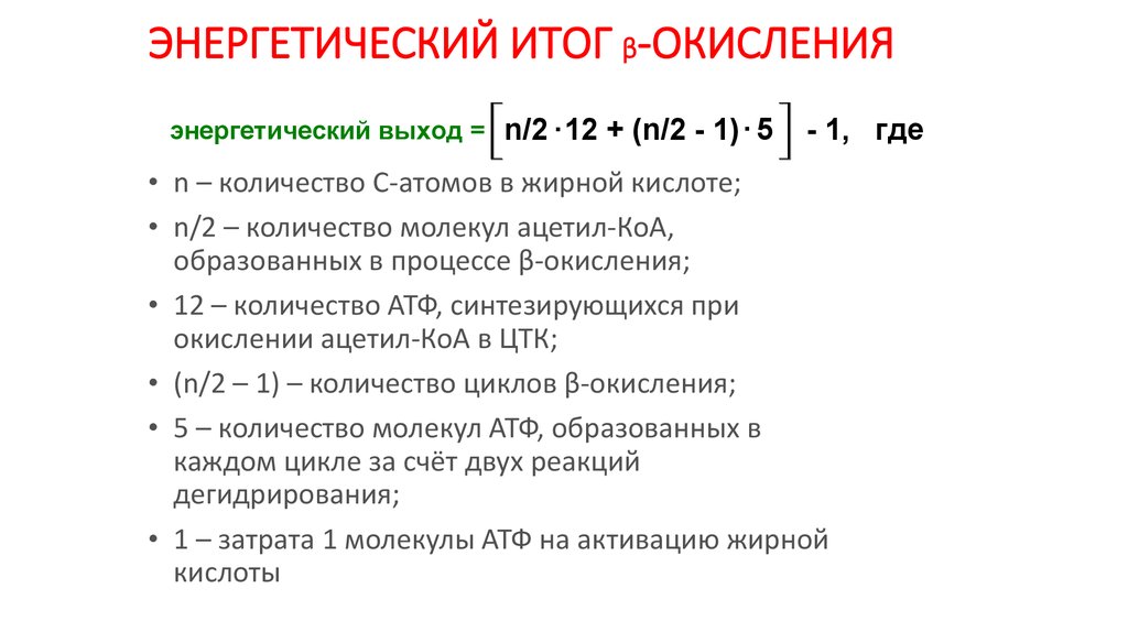 Окисление крахмала сколько атф. Энергетический выход при окислении жирных кислот. Выход молекул АТФ при полном окислении. Энергетическая эффективность одного оборота β-окисления. Энергетический итог реакции.